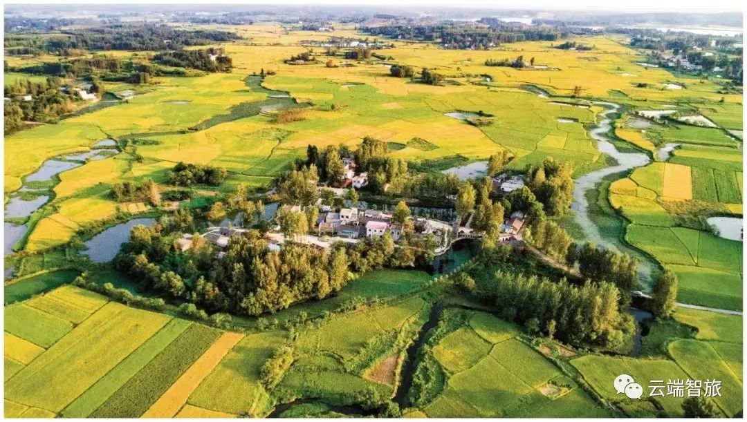 微信圖片_20220520113522.jpg 微信圖片_20220520113522.jpg